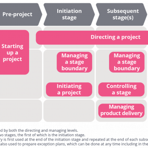 P2process